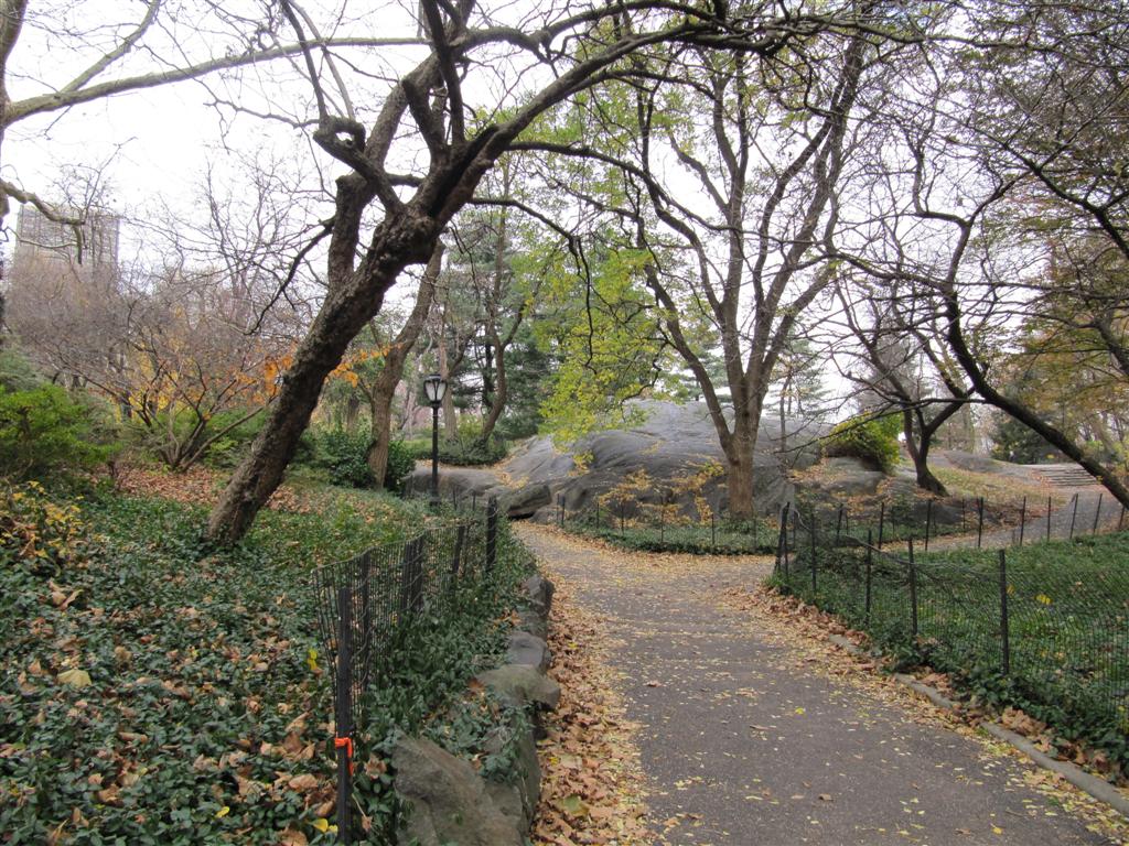 IMG_0440 (Medium)