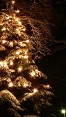 weihnachtsbaum1 (2)